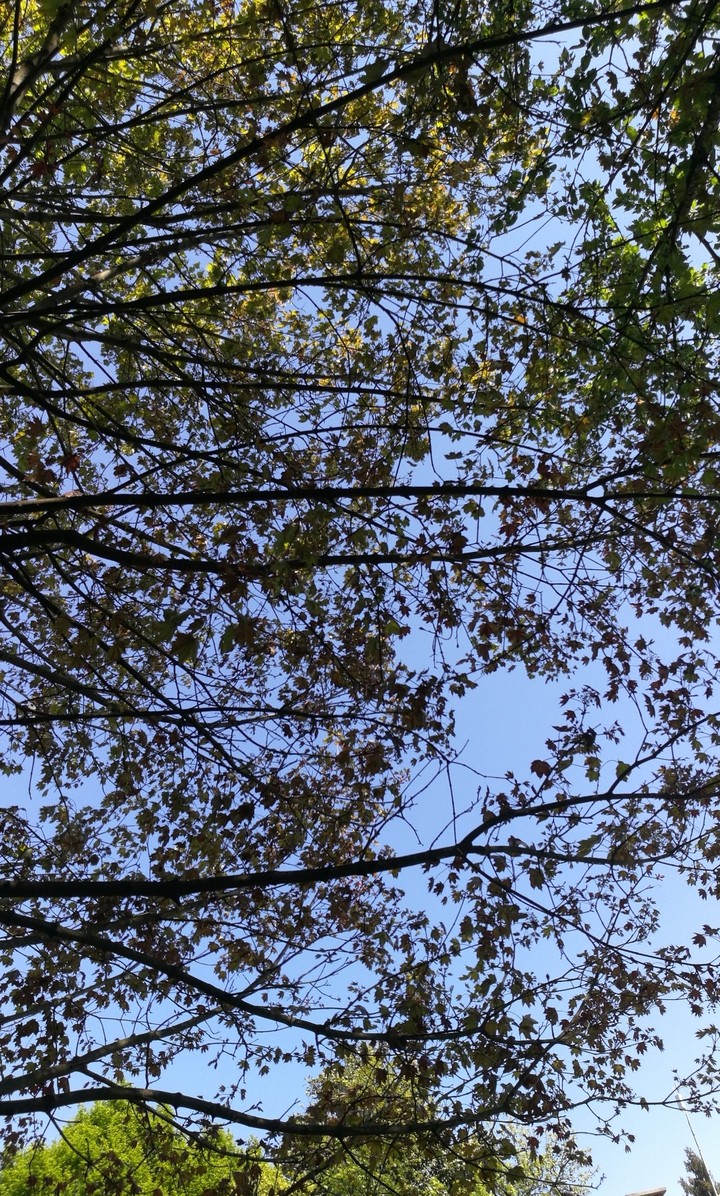 Nature spring