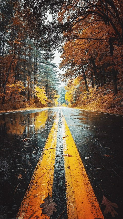 Road