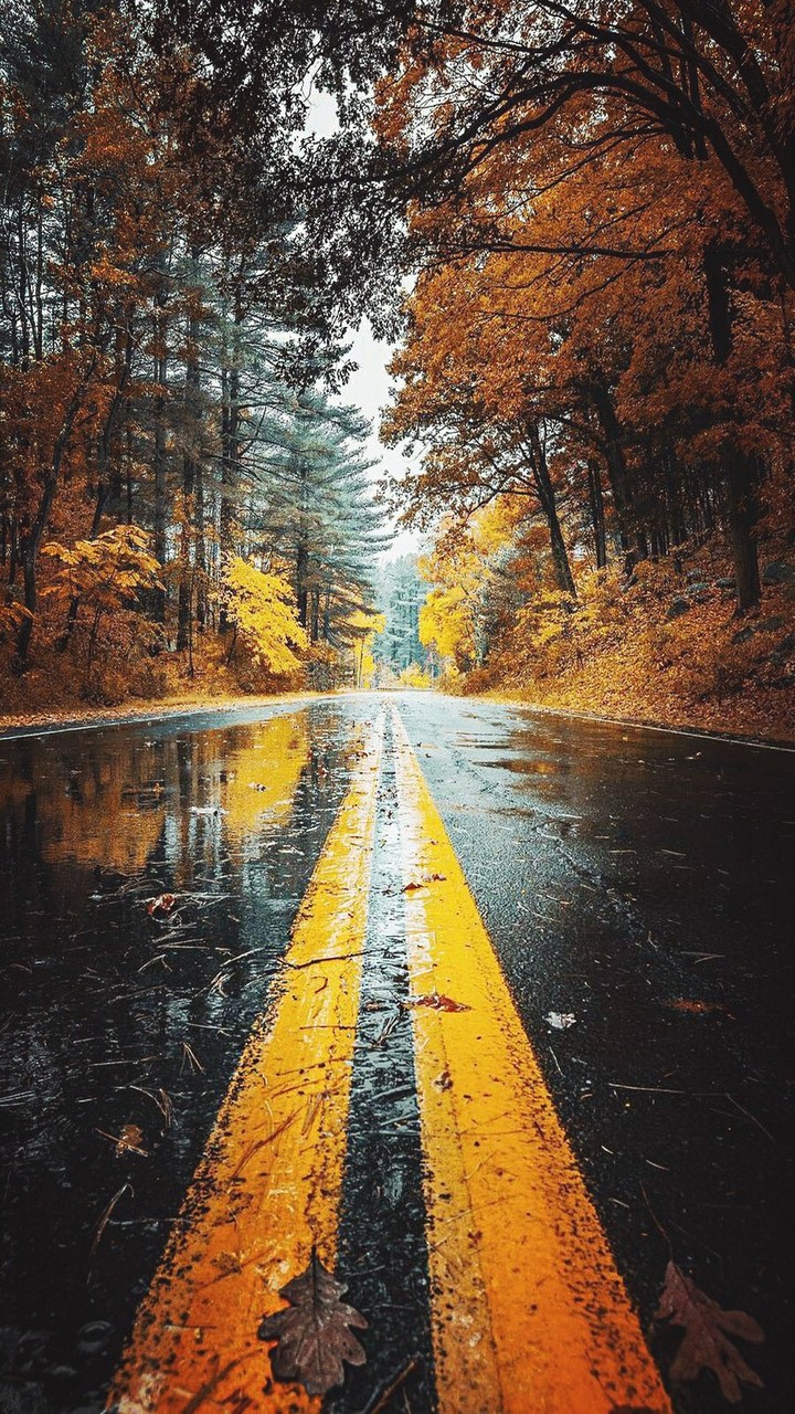 Road