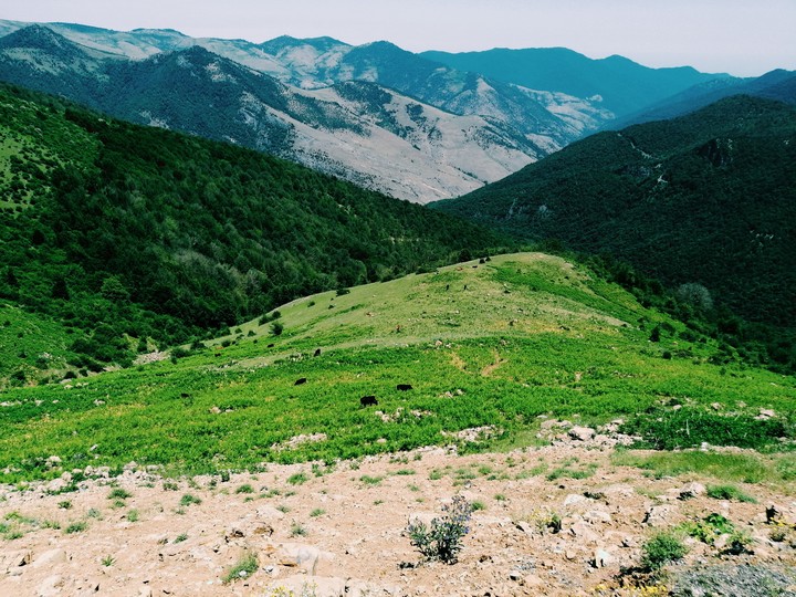 nature
