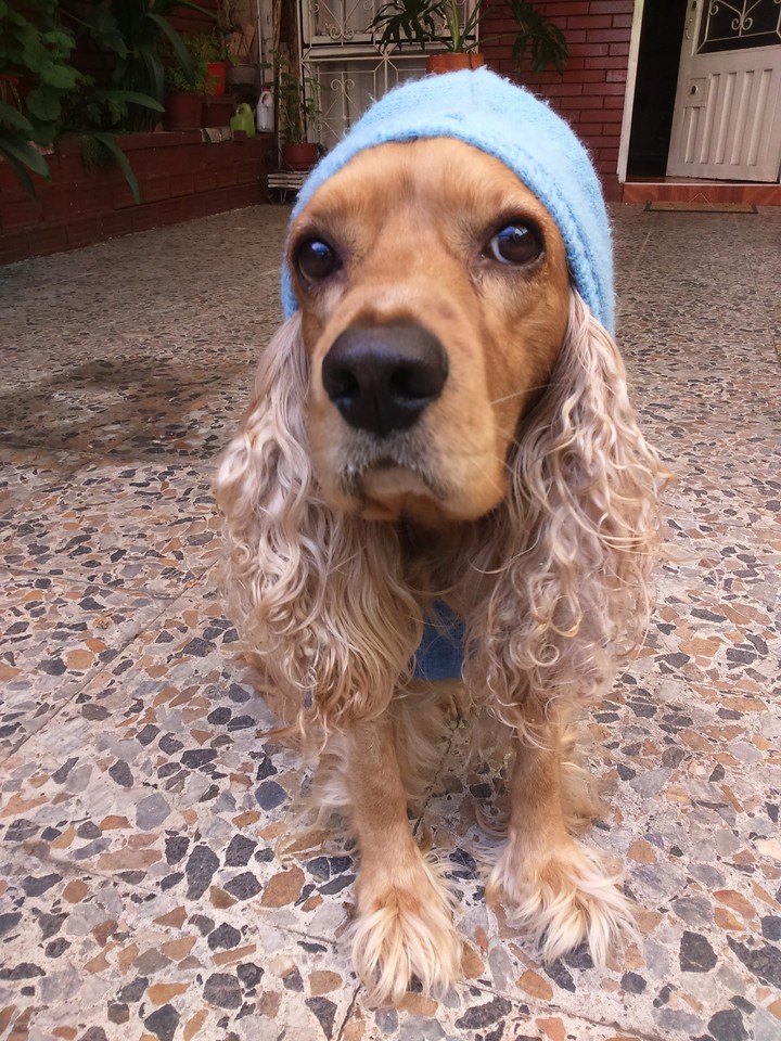 Leo