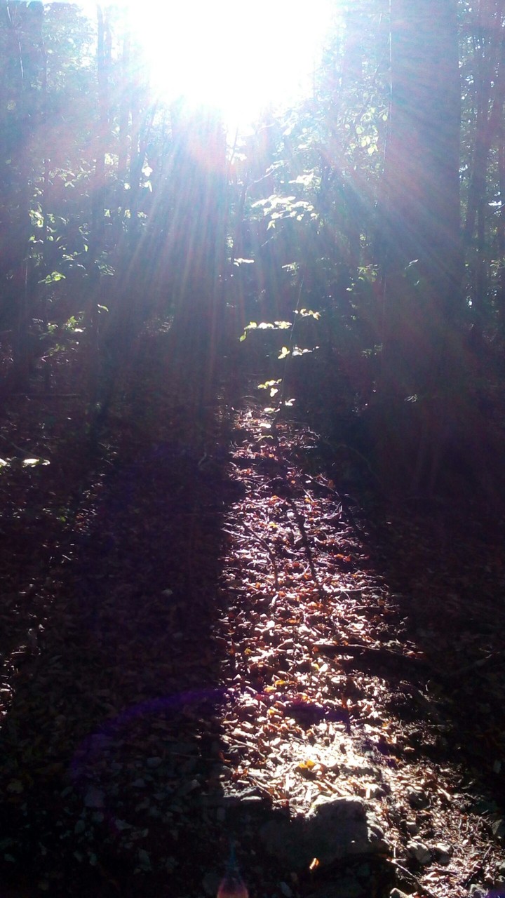 Path to light!