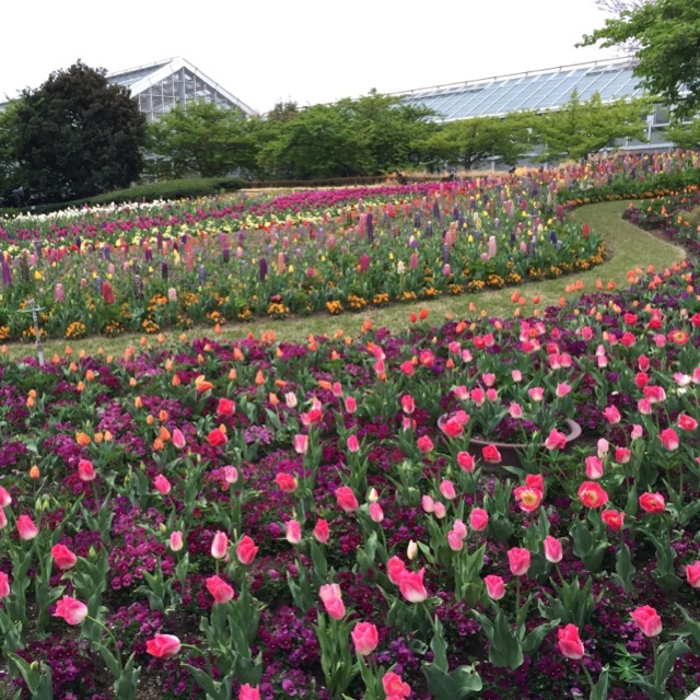 spring flower gardens