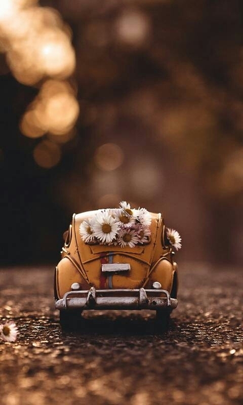 اینجا دیگه جای موندن نیست !!!! بزن بریم