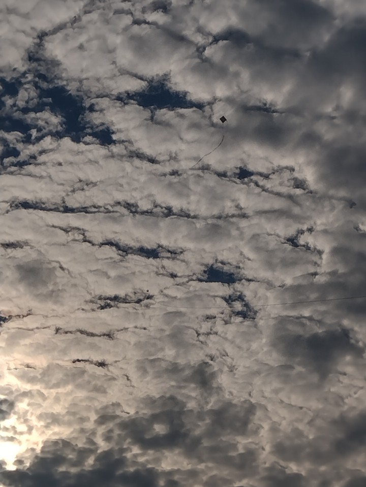 .... kite