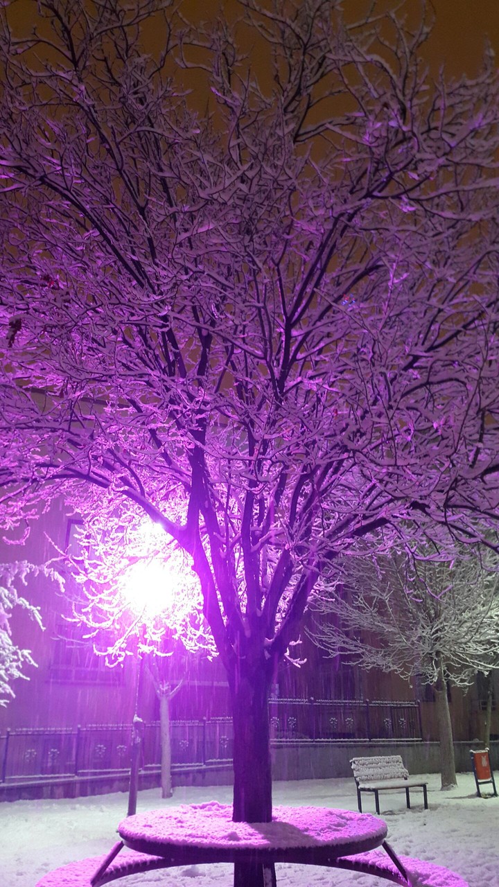 Snow