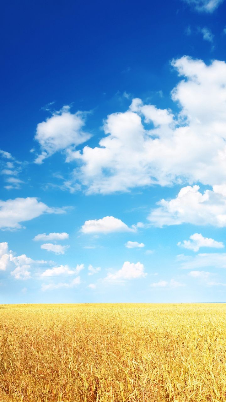 Clear Sky