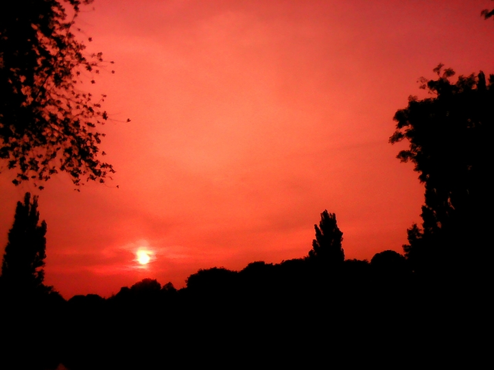 Sunset in the park