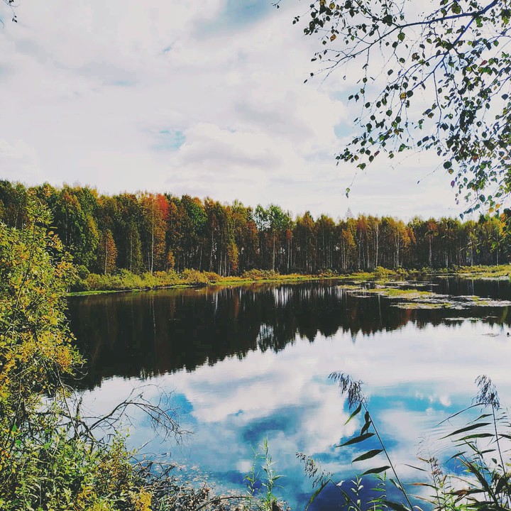 осень у озера