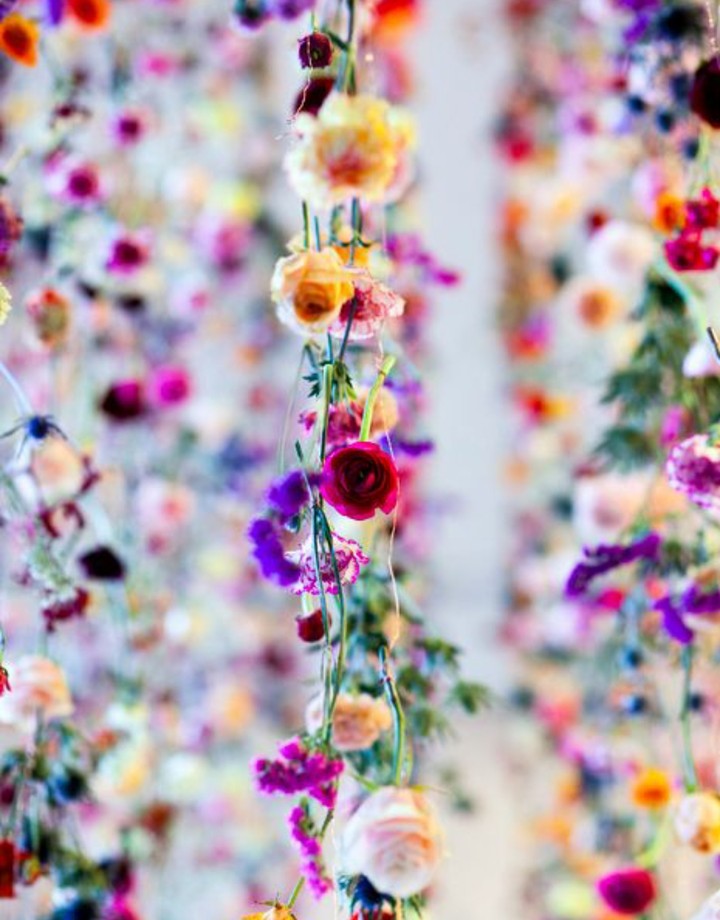 flower vine
