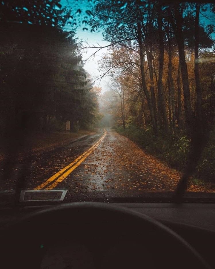 dreamy road in fall