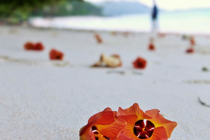 sea coast at andamans