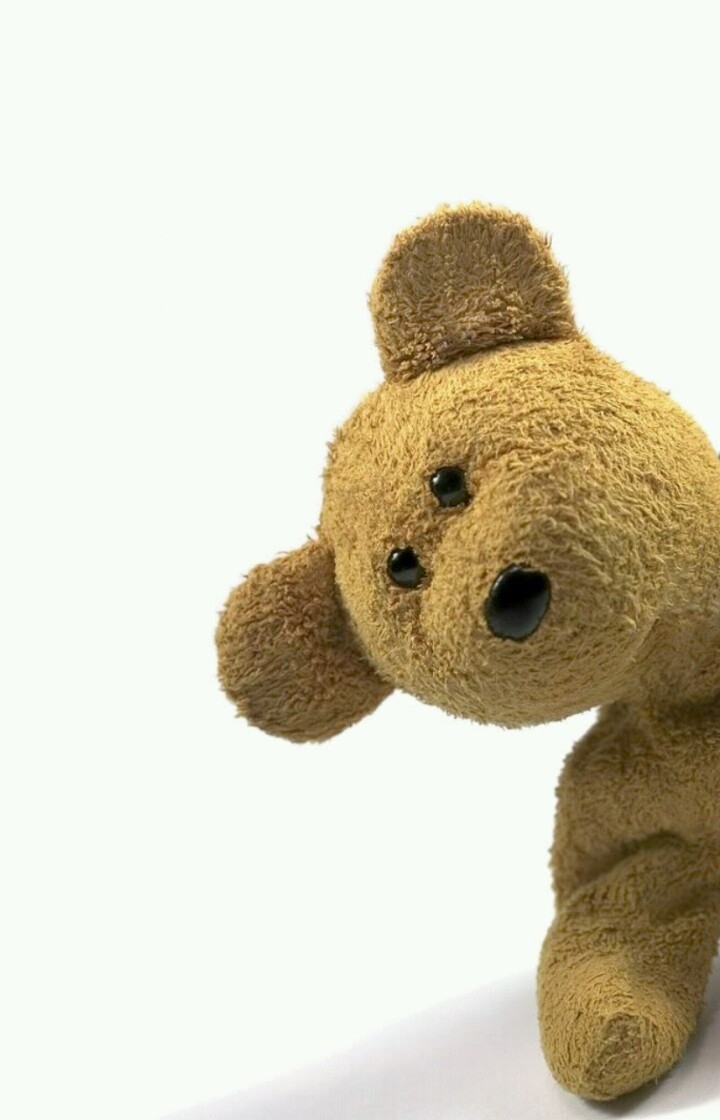 teddy bear