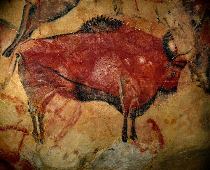 Spanish bull