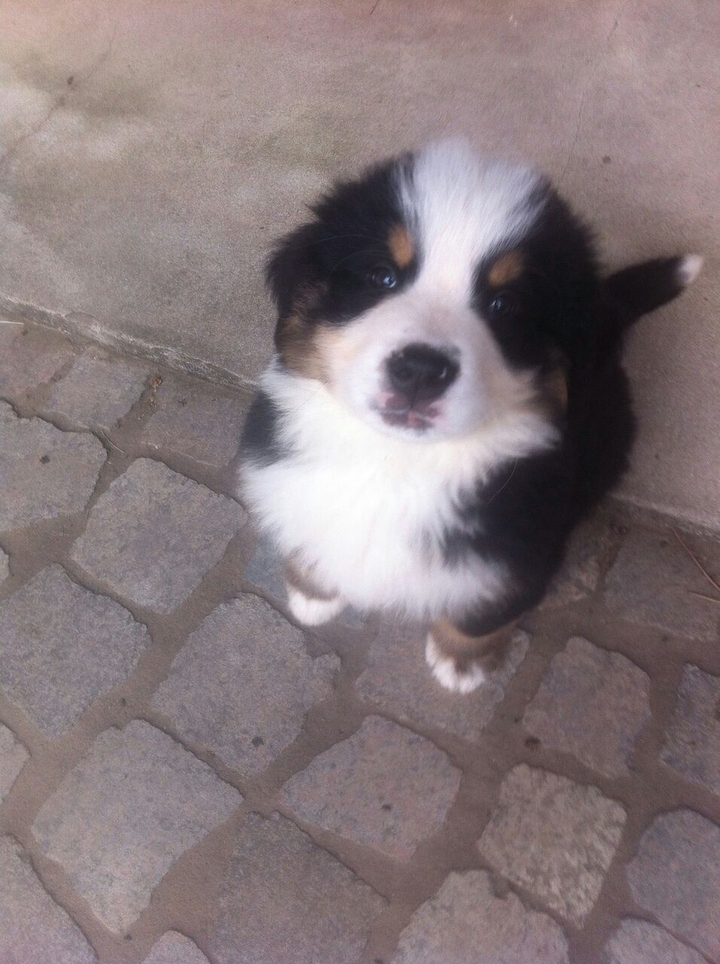 Bono