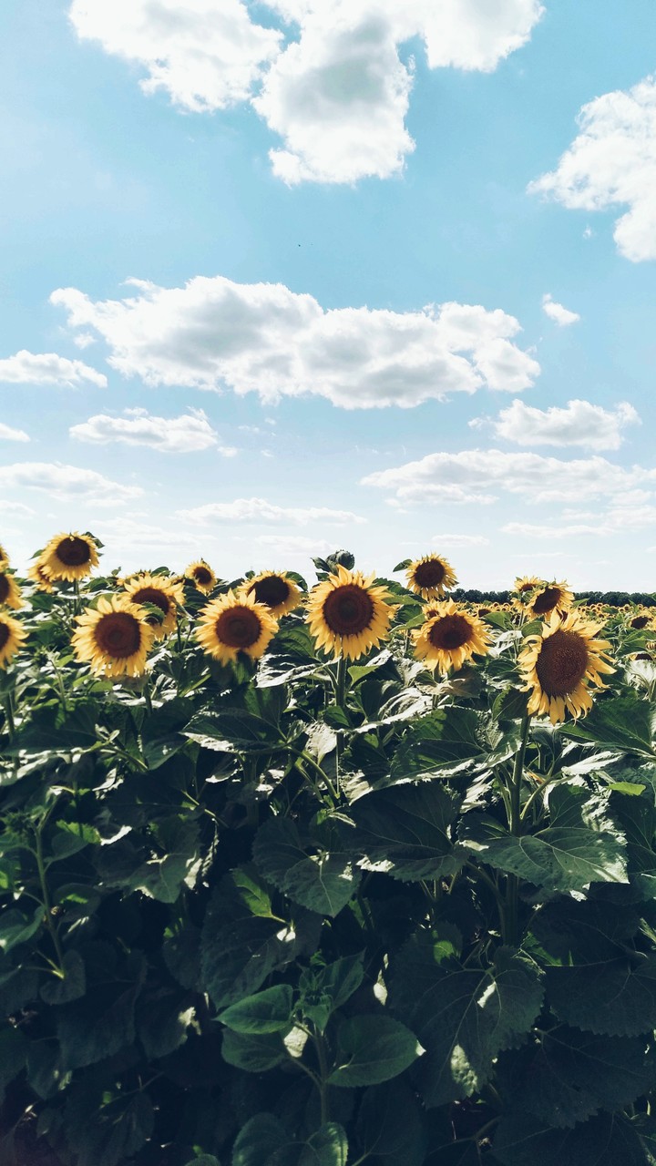 Summer..