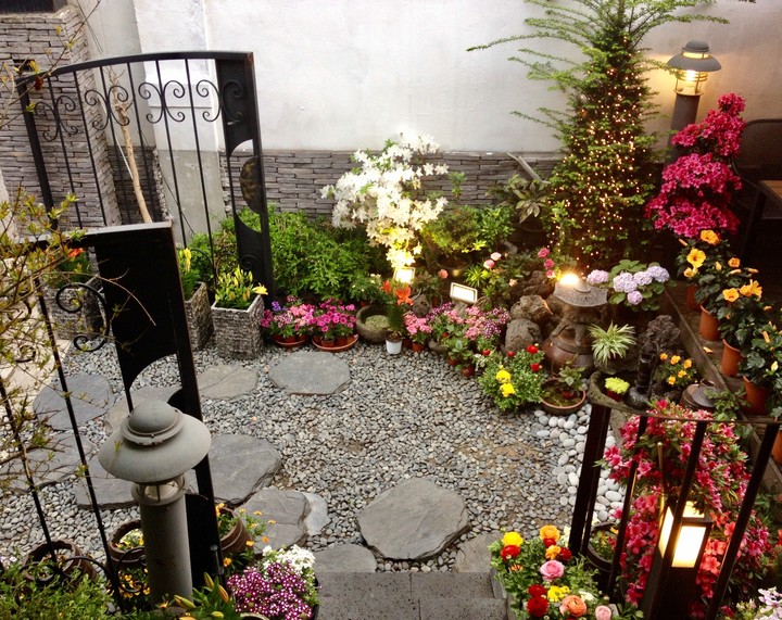a small garden in a restaurant
