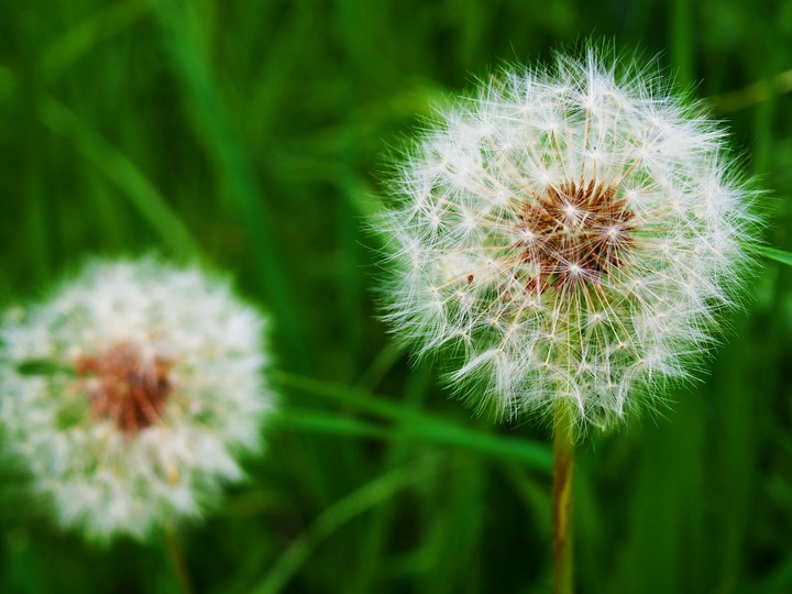 Gone With a Gust of Wind