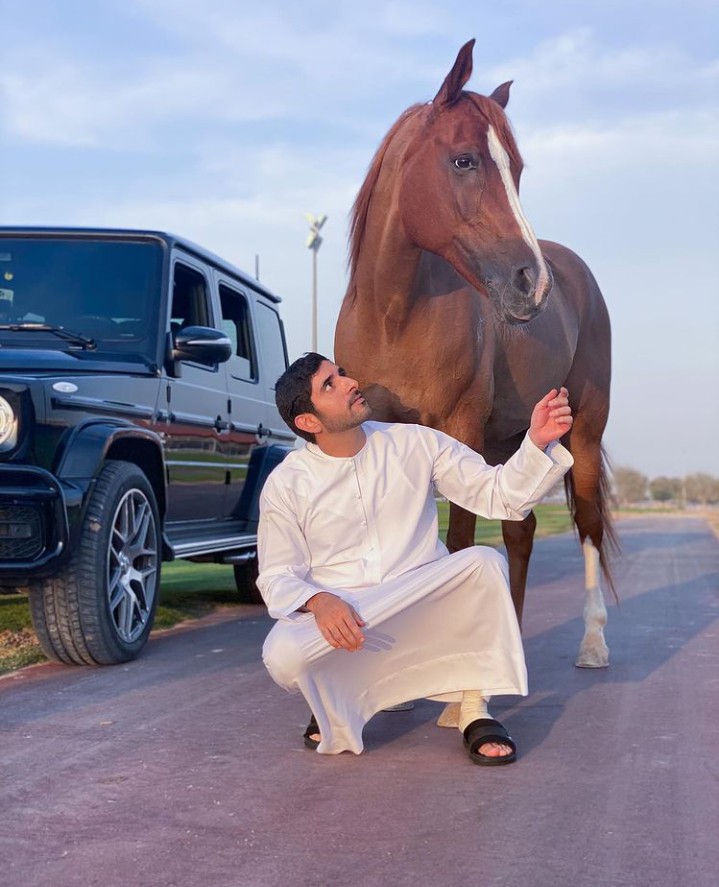 horse ??