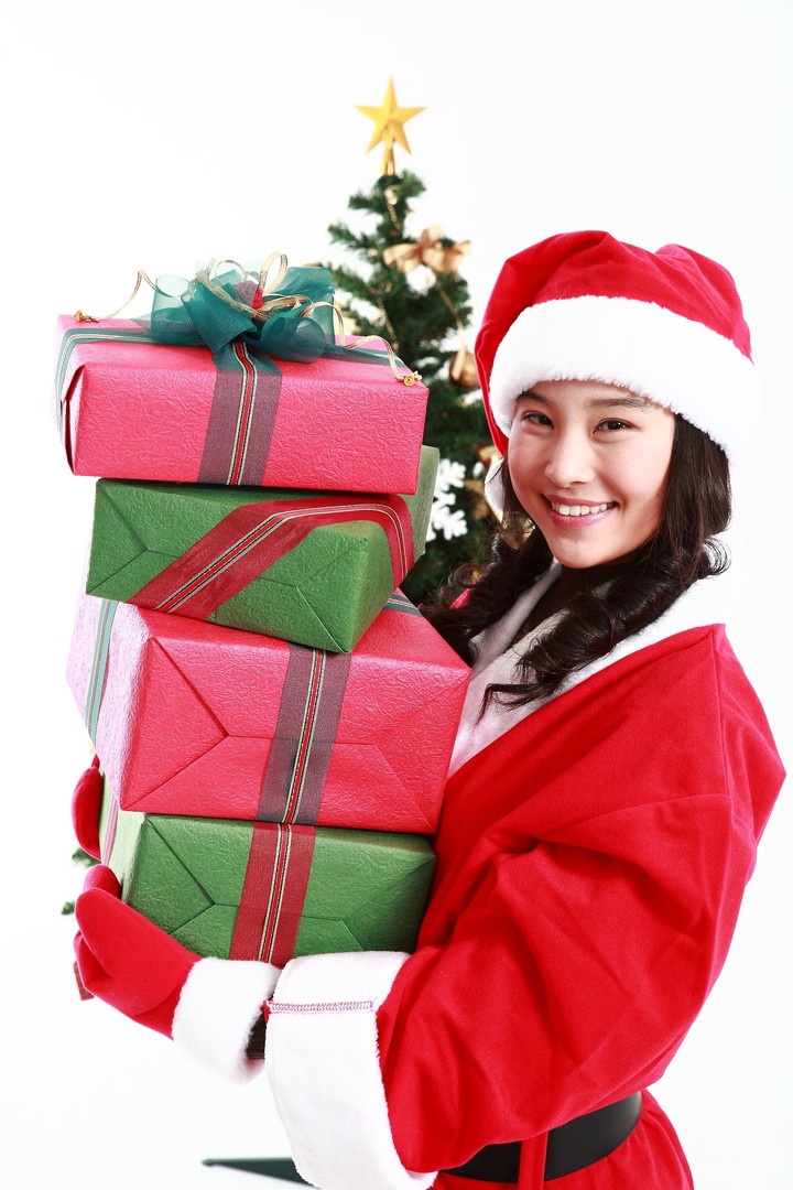 Christmas Costume