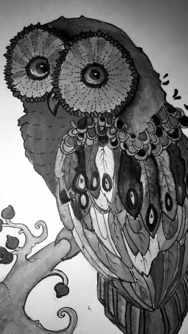owl