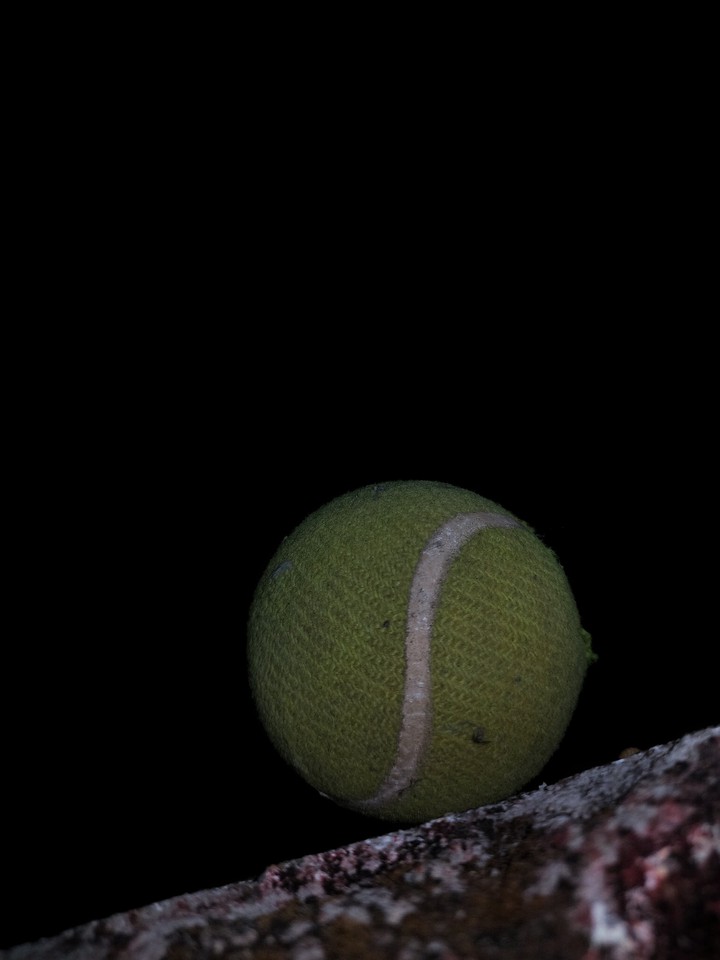 tennis ball
