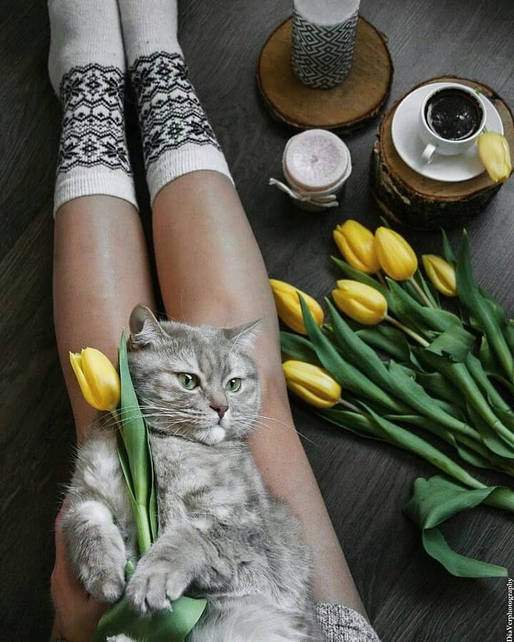 Spring cat ❤