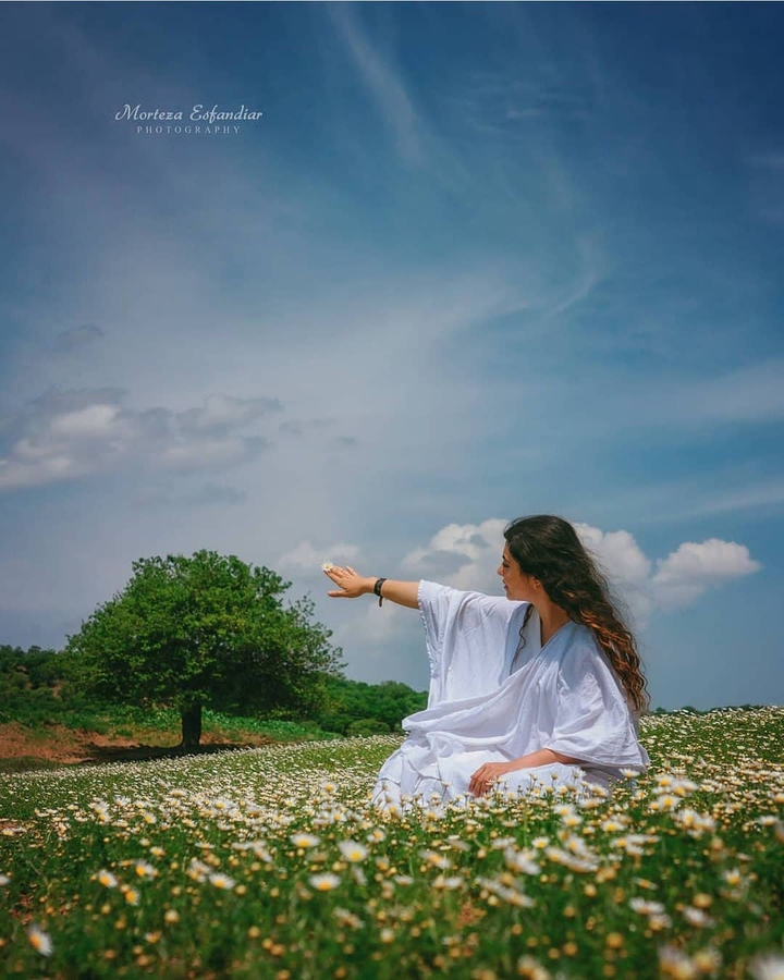Gilan Nature