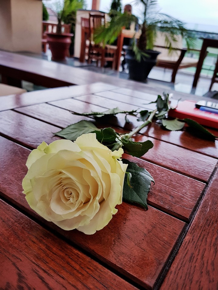 Rose