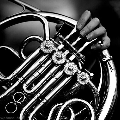 FrenchHornLove