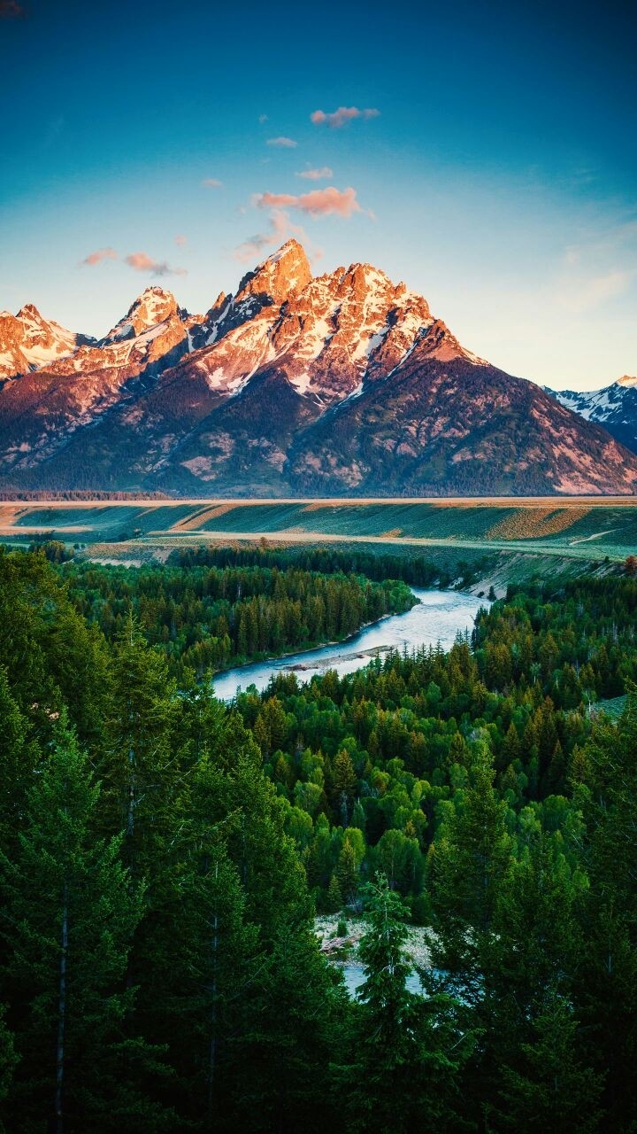 Nature