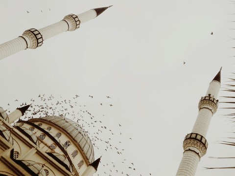 Adıyaman Mosque and birds (Cami ve Kuşlar)