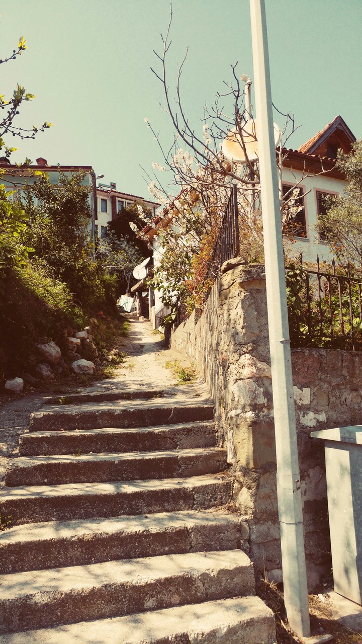 path