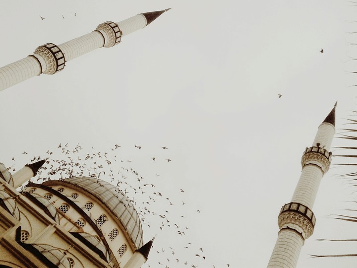 Adıyaman Mosque and birds (Cami ve Kuşlar)