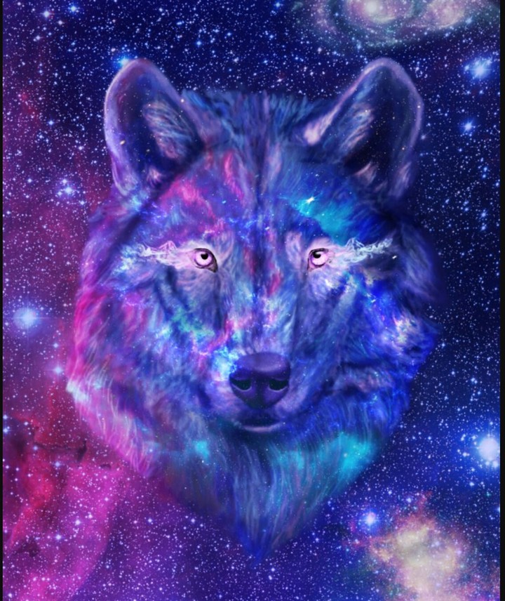 Galaxy wolf