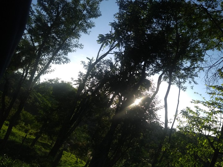 fim de tarde
