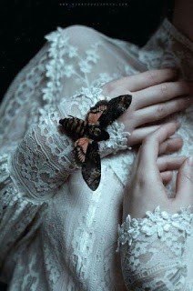 Butterfly effect