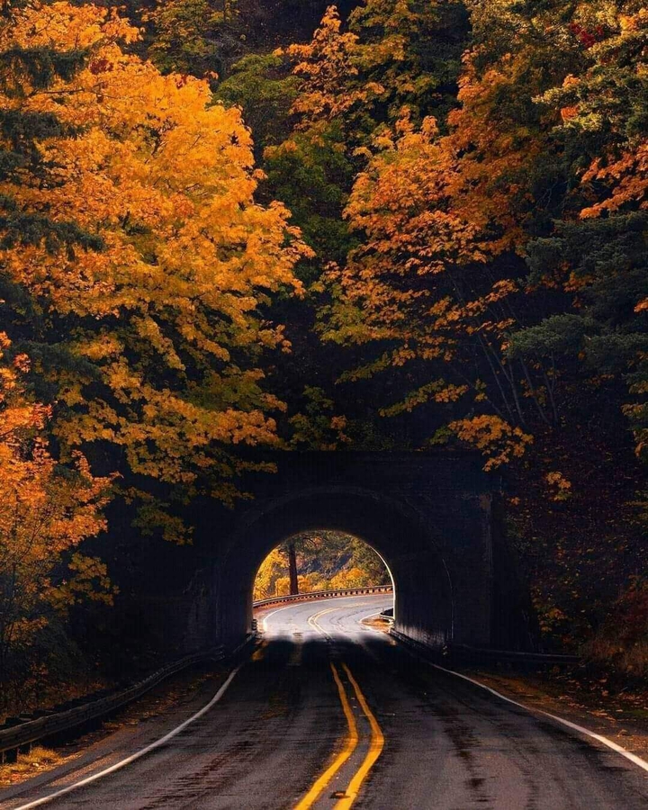 road