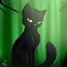 Коты воители