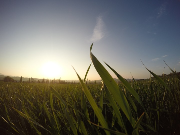 Campagna
