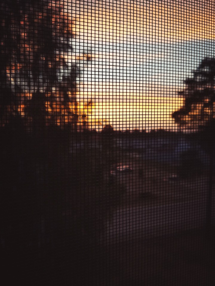 sunset