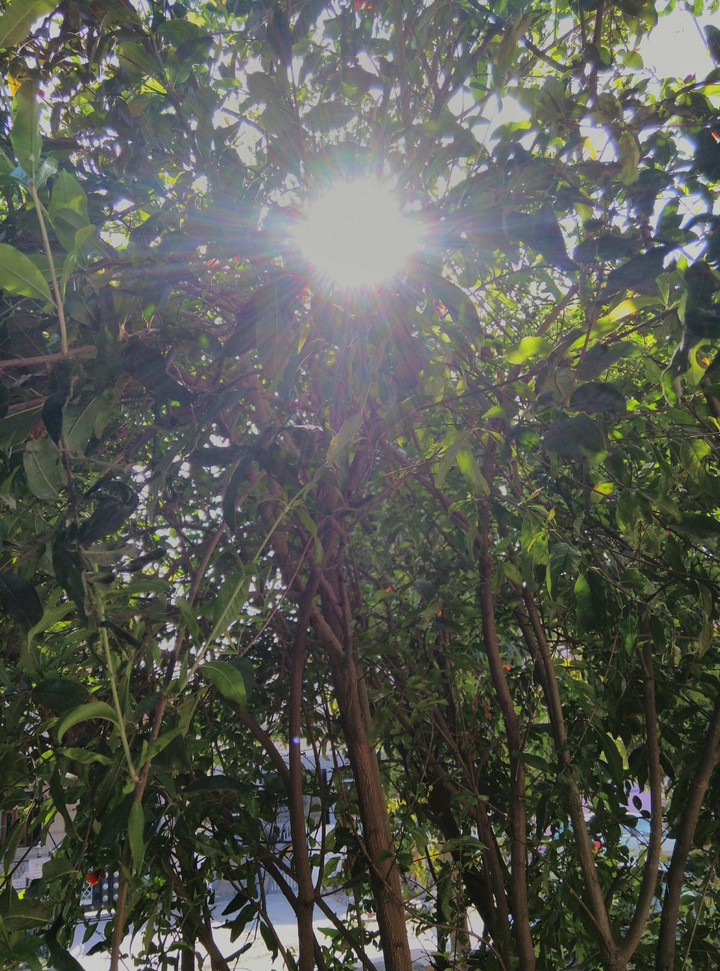 sun