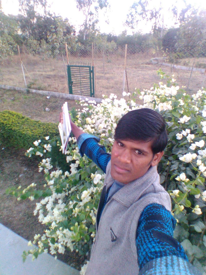 Flower