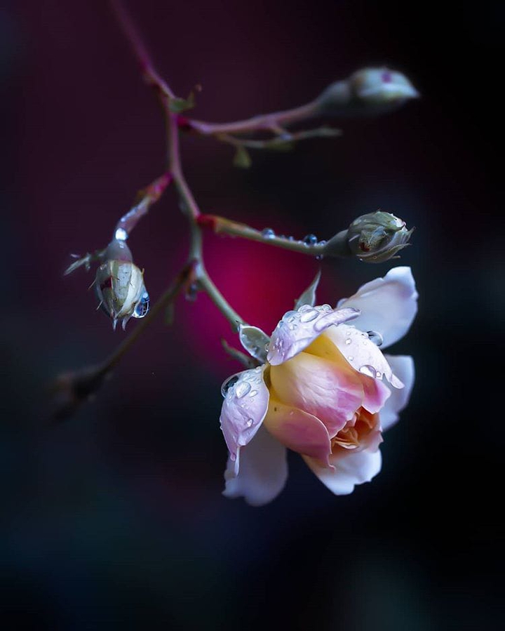 natures beauty