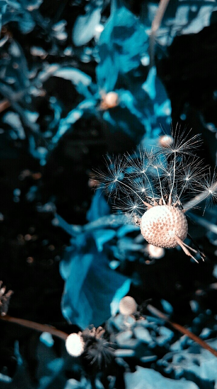 blue mood