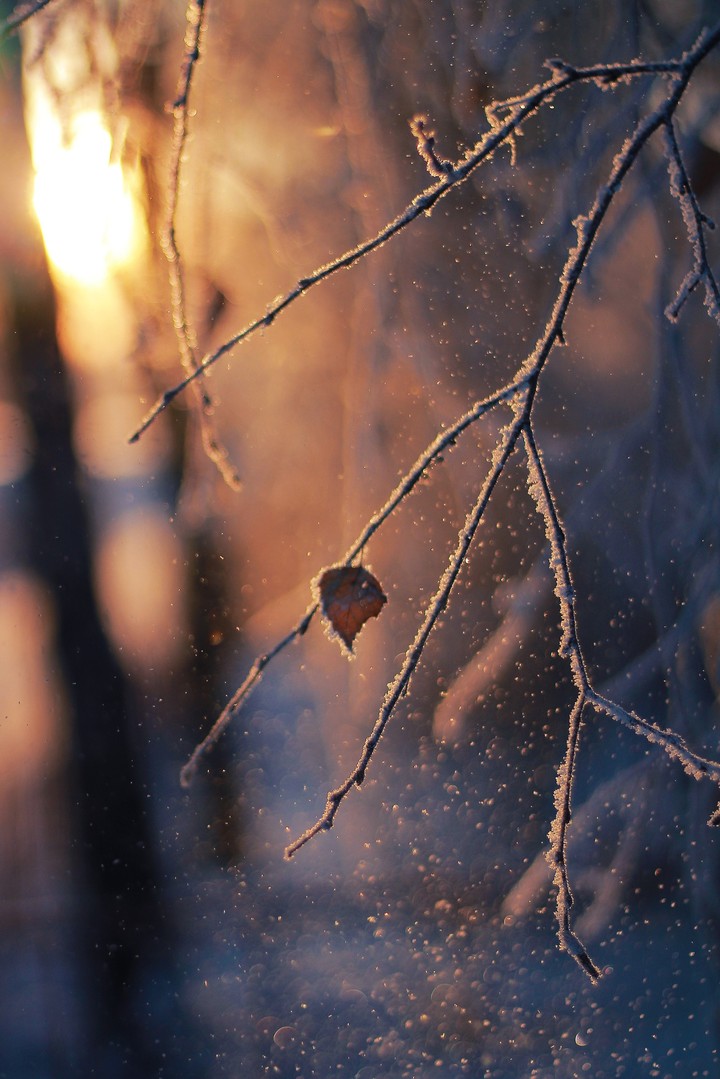 snow