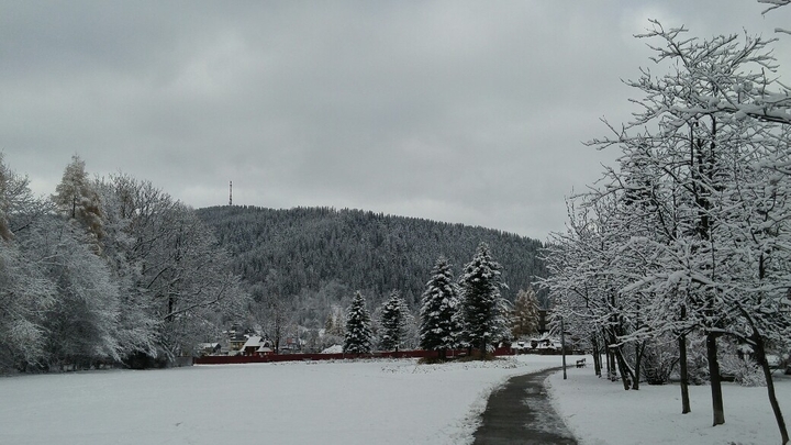 Winter