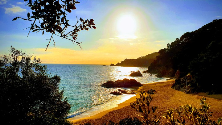 Soleil d'hiver