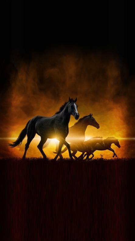 horse