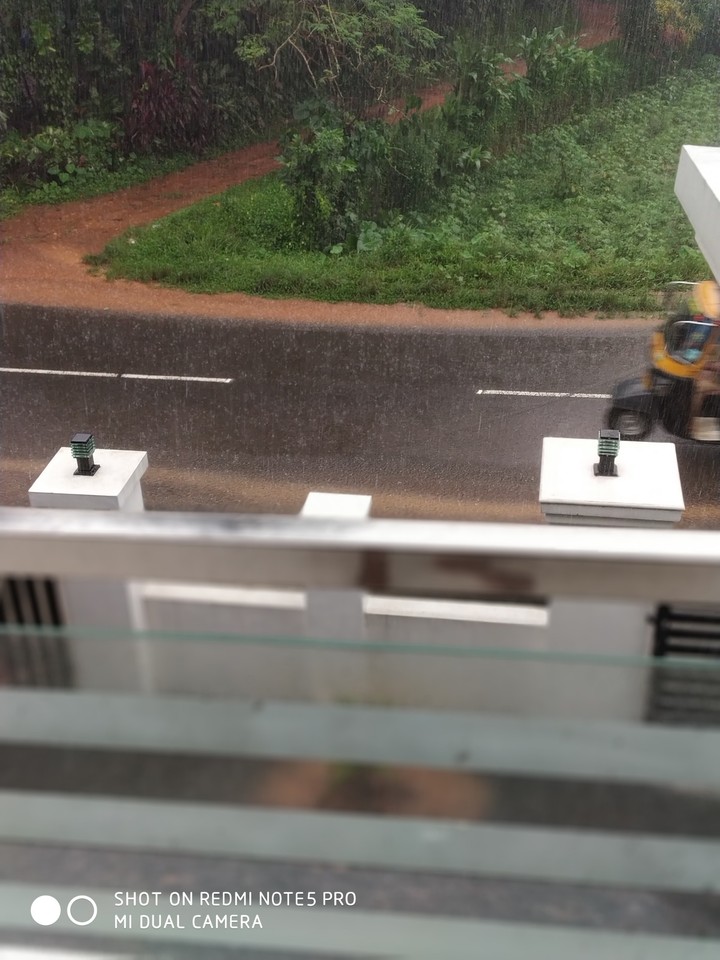Rain